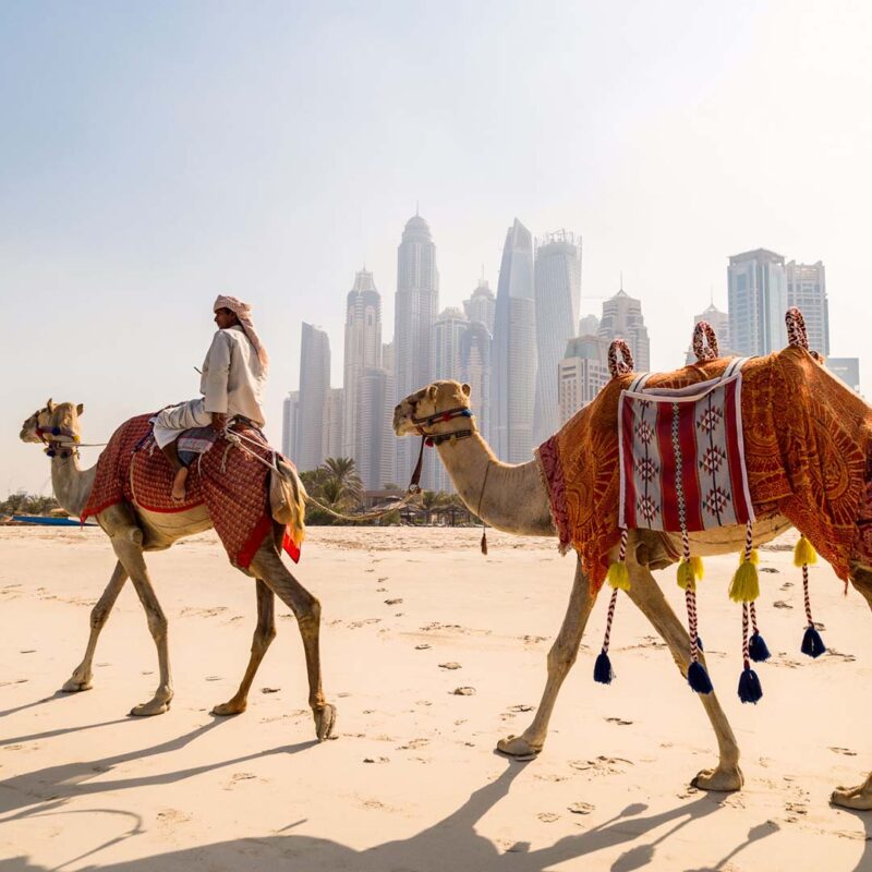 Dubai Group Prime Tour (Booking) - Image 3